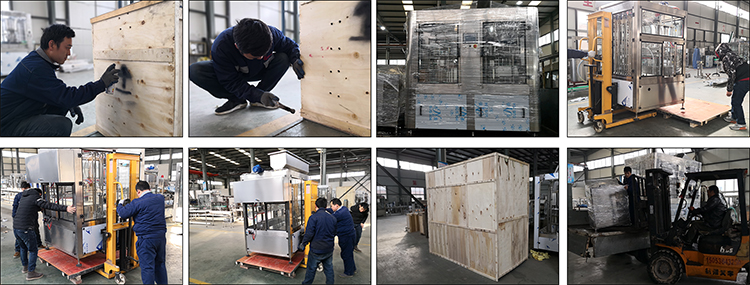 Máquina de envasado de aceite de mostaza de 10 boquillas con bajo costo